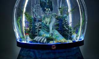 Hull Maritime Summer Events - Weekend 6
