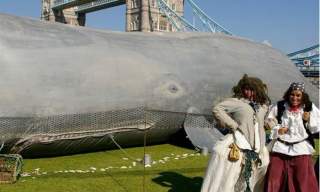 Hull Maritime Summer Events - Weekend 5