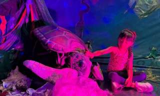 Hull Maritime Summer Events - Weekend 4