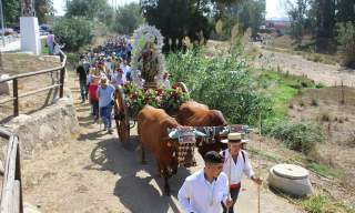 La Romería Virgen del Rosario