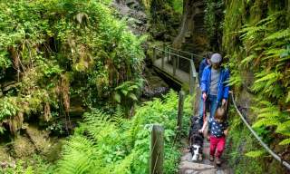 National Trust - Lydford Gorge