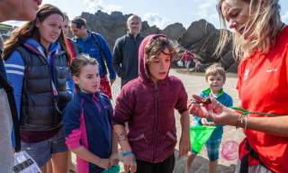 Rockpool rambles with the National Trust