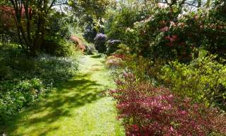 Bringing the outside in: exploring Knightshayes' garden book collection