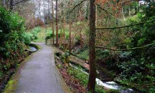 The Glen