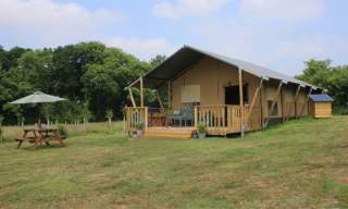 Jurassic Glamping