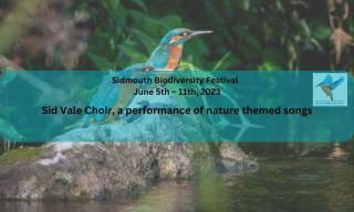 Sid Vale Choir, a performance of nature themed songs | Sidmouth Biodiversity Festival