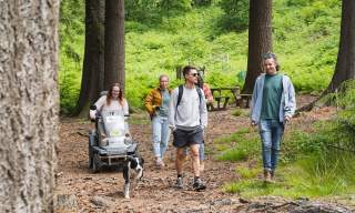 Haldon Forest Park - Forestry England