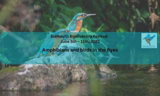 Amphibians and Birds in the Byes | Sidmouth Biodiversity Festival