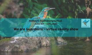 We are Guardians – virtual reality show | Sidmouth Biodiversity Festival