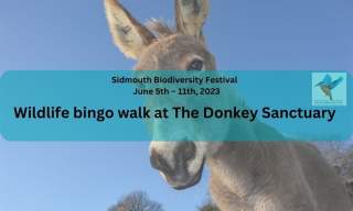 Wildlife bingo walk at The Donkey Sanctuary | Sidmouth Biodiversity Festival