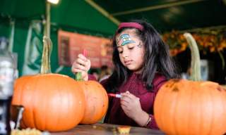 Pumpkin Picking - Pick Your Own Pumpkins in the Cotswolds