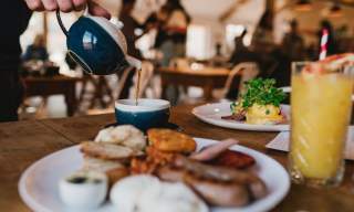 Roots and Seeds Far Peak