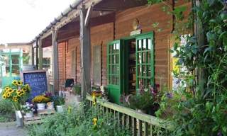 Abbey Home Farm