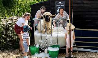 BLACKLION Vodka