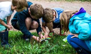 Biodiversity Detectives family trail