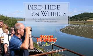 The  Birdwatching Tram