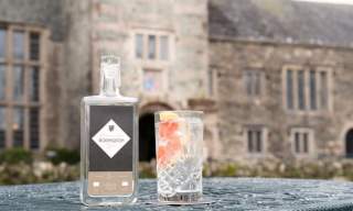Boringdon Hall Gin