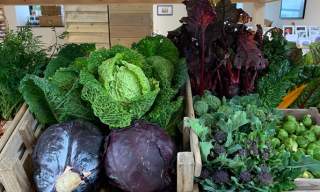Bruern Farms