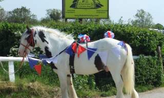 Butts Farm Visitor Centre and Farm Shop