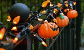Halloween Floral Arrangements
