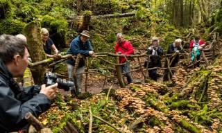 Forest of Dean Photography Experience