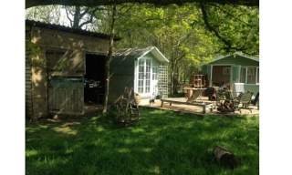 Wolford Wood