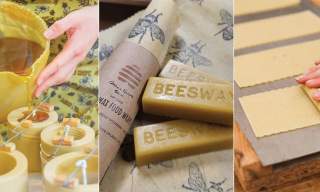 Candle making workshop