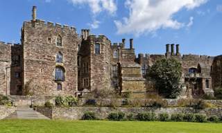 Berkeley Castle & Gardens (Trade)