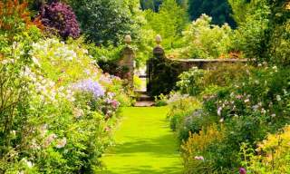 Cerney House Gardens