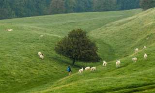 Cotswold Walks