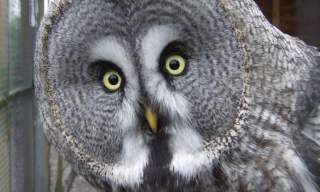 Axe Valley Wildlife Park