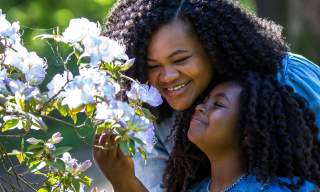 Best Kept Secrets - family spring trail