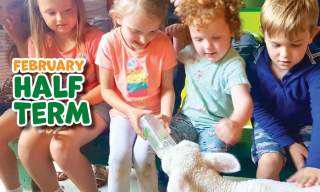 February Half Term Fun