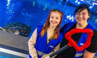 Feed the Turtle at The National Marine Aquarium