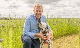 Cotswold Flower Festival