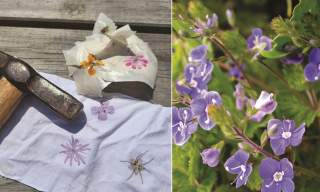 Flower printing workshop