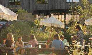 Dunkertons Cider Bar