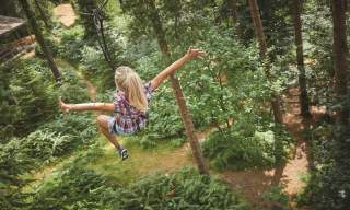 Go Ape Haldon
