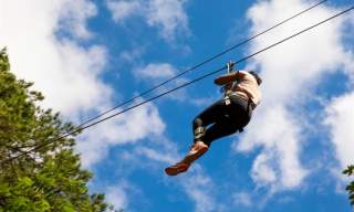 Go Ape Haldon