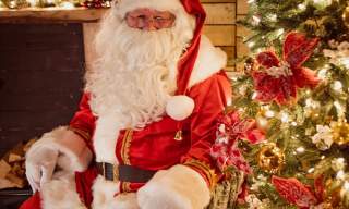 The Christmas Grotto at Webbs Cheltenham