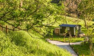 Hilly Huts at the Fish Hotel