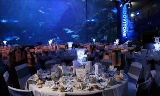 Functions and Events at National Marine Aquarium