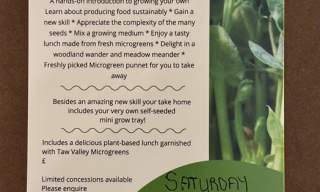 Taw Valley Microgreens Lunch & Learn