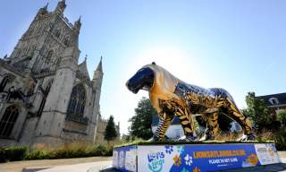 Lions at Large - The Pride of Gloucestershire Trail