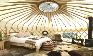Yurt Reynolds at Westley Farm