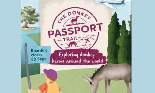 The Donkey Passport Trail