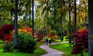 Westonbirt - The National Arboretum
