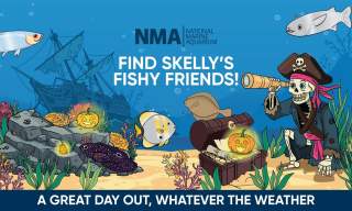 National Marine Aquarium