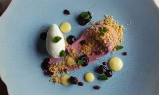 Le Champignon Sauvage