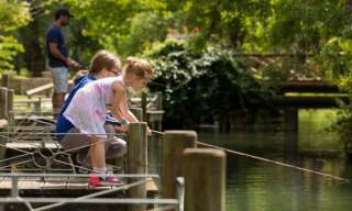 Bibury Trout Farm